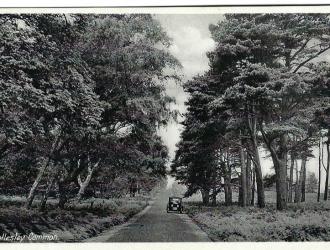 Hollesley Common II