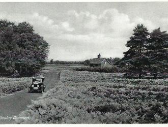 Hollesley Common